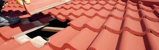 compare Elbridge roof repair quotes