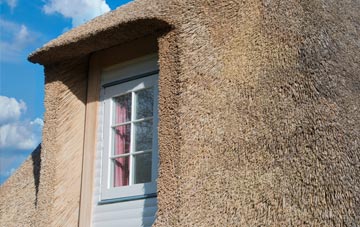 Elbridge thatch roof disadvantages